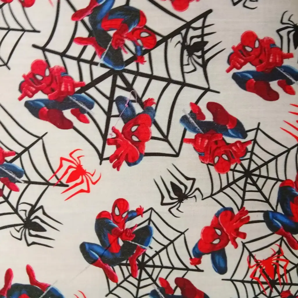 Batista Hombre Araña 