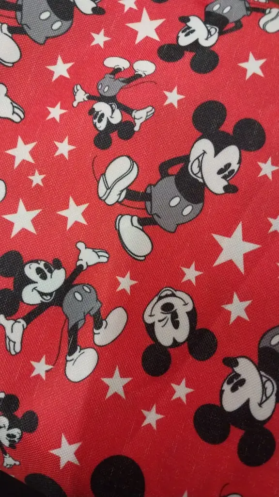 Cordura Mickey Mouse