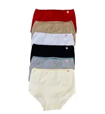 Bombacha Señora  Pack x12 unidades