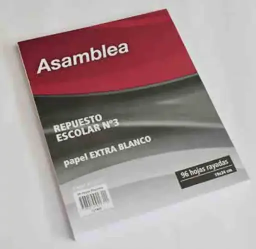 Repuesto Asamblea CD / RY 95 Hojas
