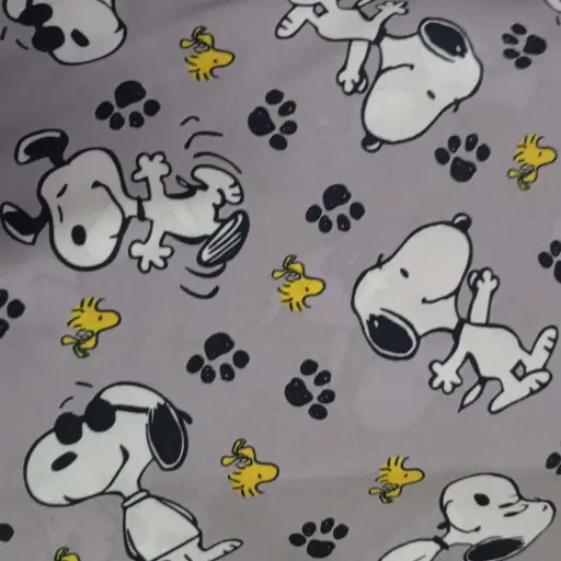 Tropical Mecanico DISNEY