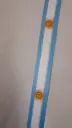 Cinta de Argentina Nro 5