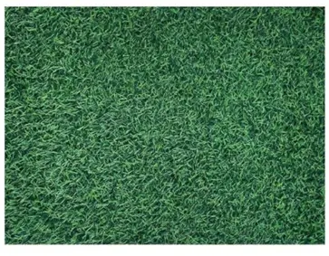 Panel Cesped Artificial